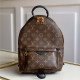 LOUIS VUITTON 루이비통 팜스프링 백팩 M44871