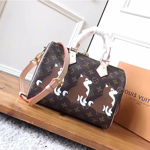 LOUIS VUITTON 루이비통 스피디25 M41113-2