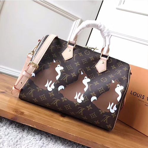 LOUIS VUITTON 루이비통 스피디30 M41367-2