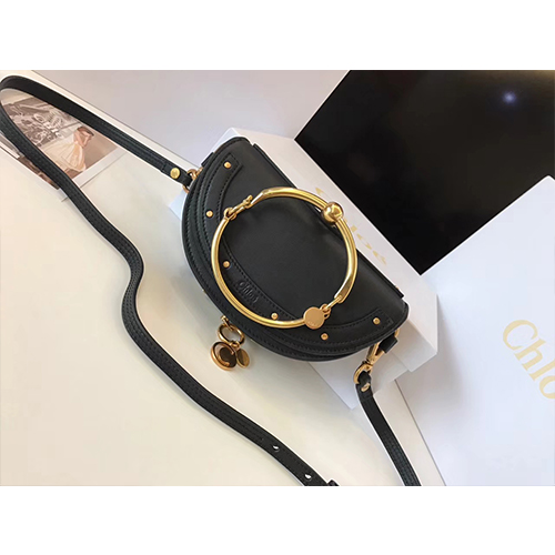 CHLOE 끌로에 나일 미노디에르-1