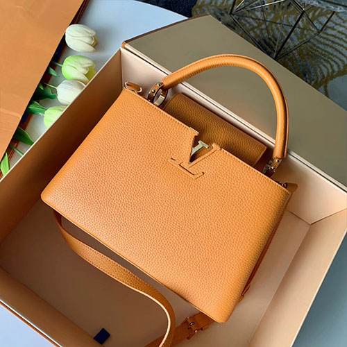 LOUIS VUITTON 루이비통 카퓌신 PM M42259