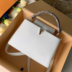 LOUIS VUITTON 루이비통 카퓌신 PM N90345