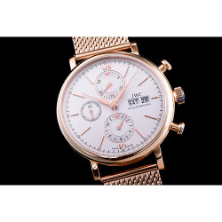 IWC 아이더블유씨 포르토피노 크로노 IW391020