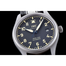 IWC 아이더블유씨 마크18 헤리티지-5 칼리버 IW327006