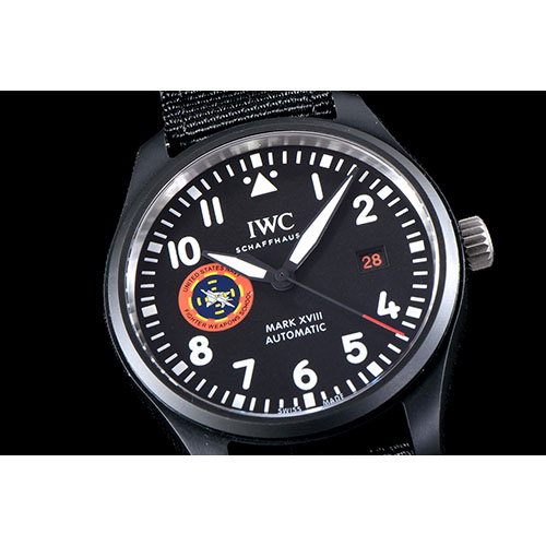 IWC 아이더블유씨 파일럿 웨폰스쿨 에디션 칼리버