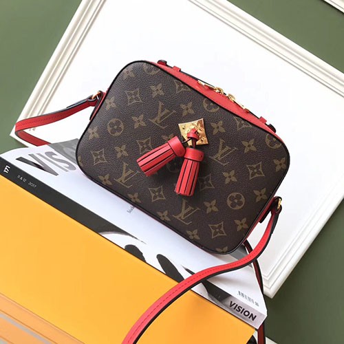 LOUIS VUITTON 루이비통 생통주백 M43555 22CM