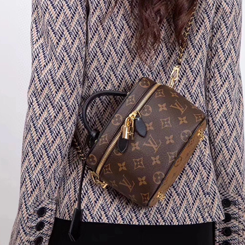 LOUIS VUITTON 루이비통 베니티 PM M45165 2020/신상