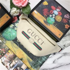GUCCI 구찌 프린트 벨트백 493869
