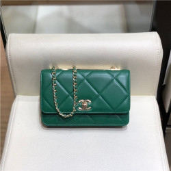 CHANEL 샤넬 WOC AS5005