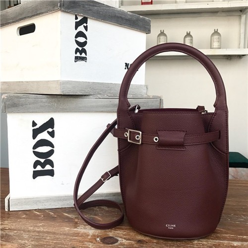 CELINE 셀린느 나노 버킷백 C43310-4