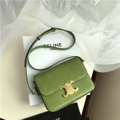 CELINE 셀린느 숄더백 (물뱀가죽) C48800-3