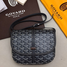 GOYARD 고야드 메신져백 22CM GY100980-3