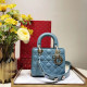 DIOR 디올 레이디백 20CM D38609-13