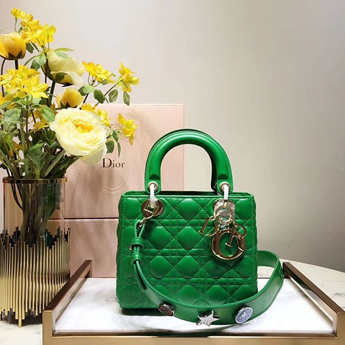 DIOR 디올 레이디백 20CM D38609-11