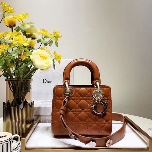 DIOR 디올 레이디백 20CM D38609-5