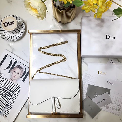 DIOR 디올 새들 체인 클러치  M9012 22CM