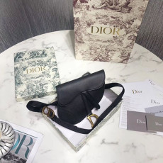DIOR 디올 미니 새들백 D74800