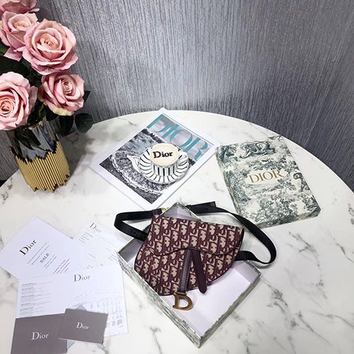 DIOR 디올 오블리크 미니 새들백 D74800