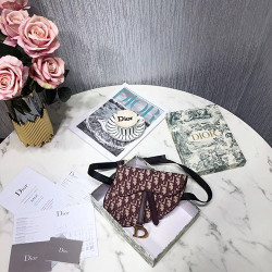 DIOR 디올 오블리크 미니 새들백 D74800