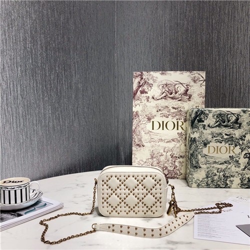 DIOR 디올 레이디 카메라백