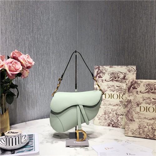DIOR 디올 새들백 SADDLE M0446 25.5CM (스트랩 선택 가능)