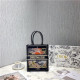 DIOR 디올 미니 북 토트백 D68810-4