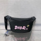 DIOR 디올 X 카우스 힙색 D0310-1
