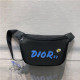 DIOR 디올 X 카우스 힙색 D0310-2