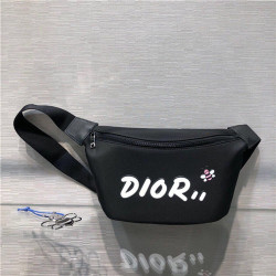 DIOR 디올 X 카우스 힙색 D0310-3