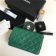 CHANEL 샤넬 WOC 19CM AS5890