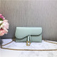 DIOR 디올 새들 체인 크로스백 M9020 4COLOR
