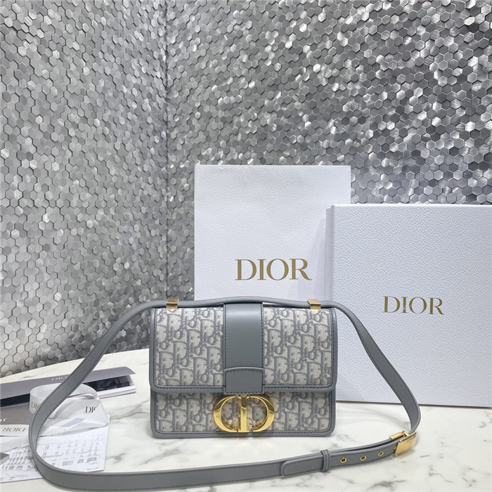 DIOR 디올 써티 몽테인백 D89203