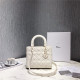 DIOR 디올 레이디 24CM D0565 5COLOR