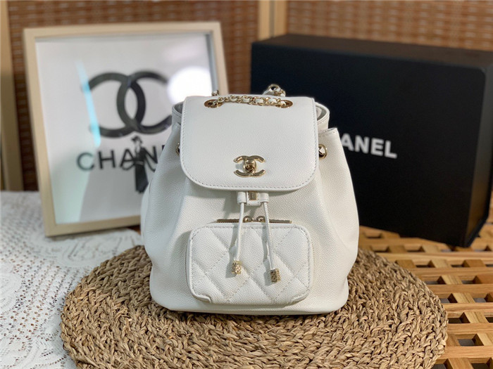 CHANEL 샤넬 어피니티 백팩 AS3530 2COLOR