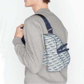 DIOR 디올 크로스백 di177x