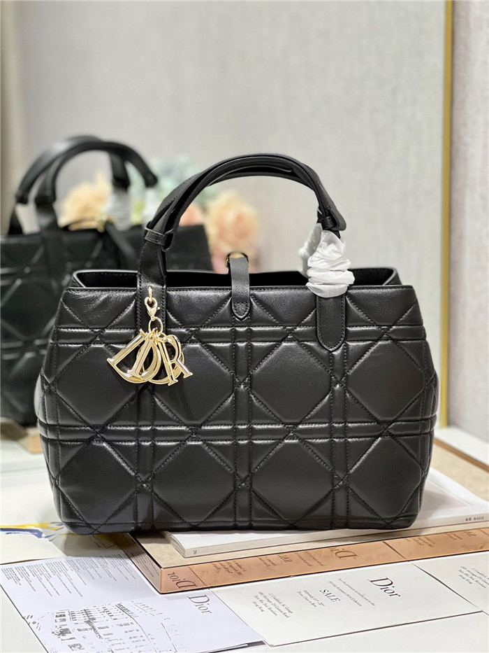 DIOR 디올 토트백 D1188