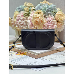 DIOR 디올 오벌 카메라백 9088