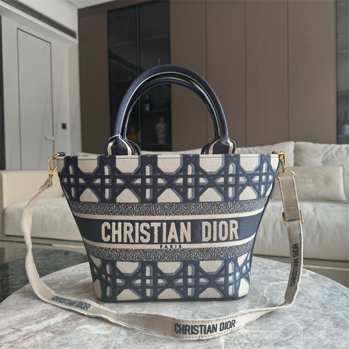 DIOR 디올 오블리크 버킷백 D3530