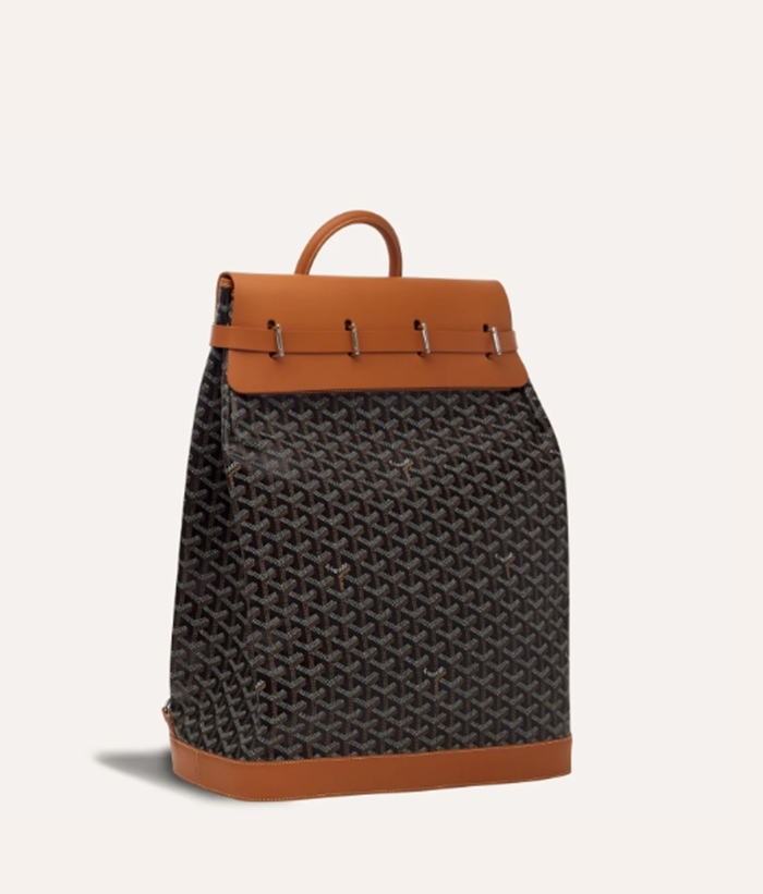 GOYARD 고야드 탄 스티머 백 PM 2COLOR