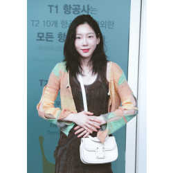 [소녀시대 태연] LOUIS VUITTON 루이비통 하이드 앤드 시크