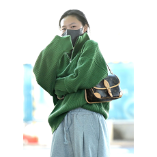  [마마무 화사] LOUIS VUITTON 루이비통 다이앤 모노그램 핸드백
