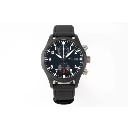 IWC 아이더블유씨 파일럿 워치 크로노그래프 탑건 IW389001