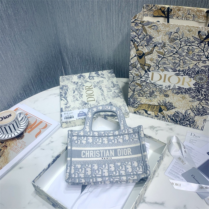 DIOR 디올 미니 북 토트백 M113865