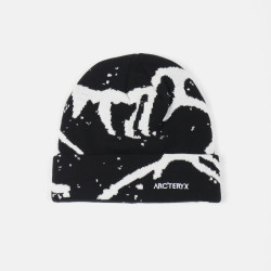 ARCTERYX 아크테릭스 그로토 비니