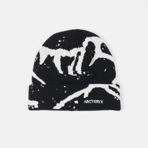 ARCTERYX 아크테릭스 그로토 비니