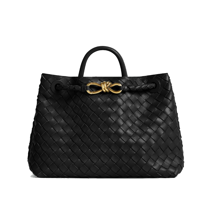  BOTTEGA VENETA 보테가베네타 안디아모 766016 3COLOR