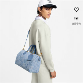 LOUIS VUITTON 루이비통 스피디 반둘리에 30 N00203