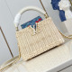 LOUIS VUITTON 루이비통 카푸신 미니 M48865 2SIZE