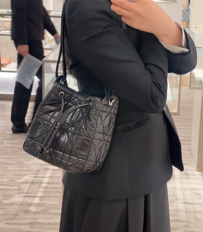 DIOR 디올 버킷백 스몰 D1117S